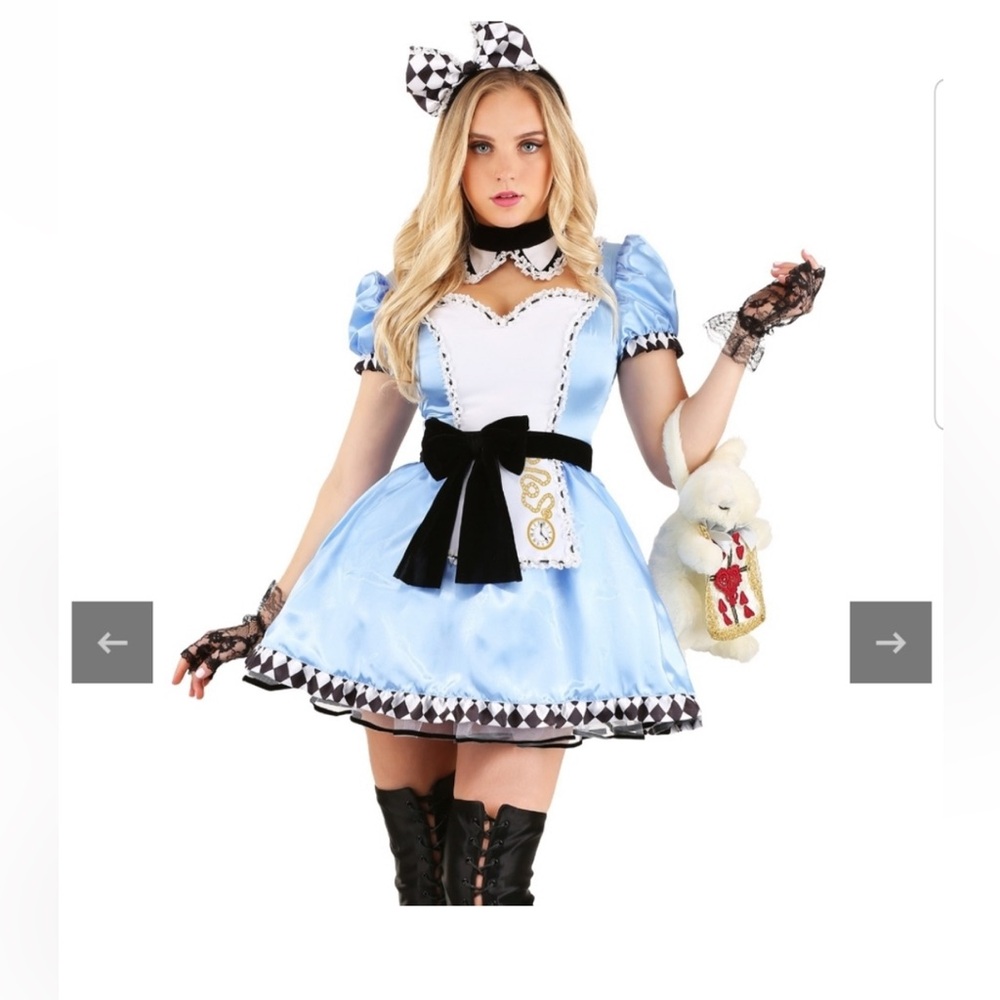 Alice and Wonderland Costume Size M